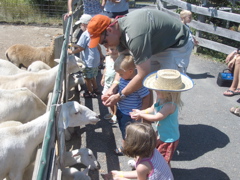 Mark helps little ones feed the goats