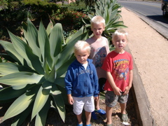 Jackson, Grant, and Cole with big plant