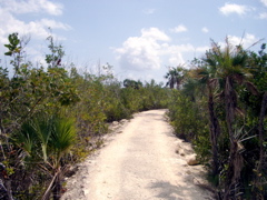 The road to the beach