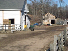 The barns
