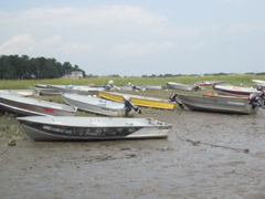Boats at low tide