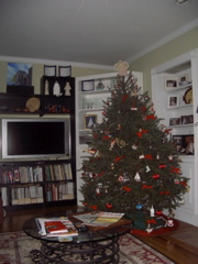 Chistmas morning (thanks for the 46" 1080p Sony LCD Santa)